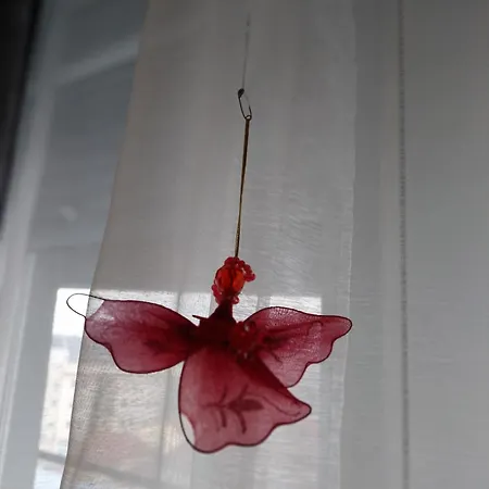 Apartment And Grey Novi Sad