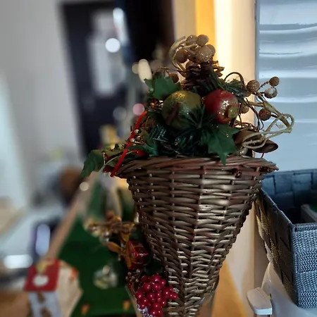 And Grey Daire Novi Sad